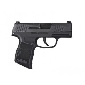 P365XL Striker Fired,12RD, 2 Mag