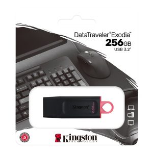 Kingston DataTraveler Exodia - USB flash drive - 256 GB