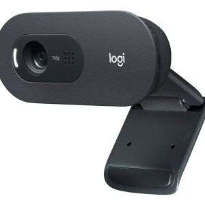 Logitech C505e - webcam