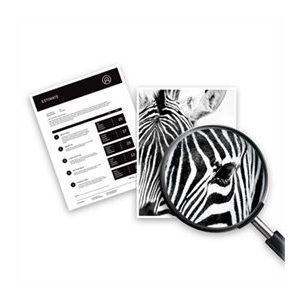 HP - black - compatible - ink cartridge