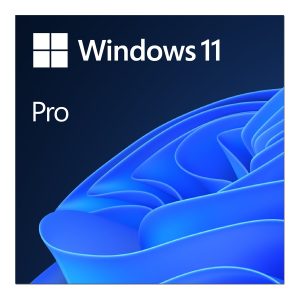 Windows 11 Pro - license - 1 license
