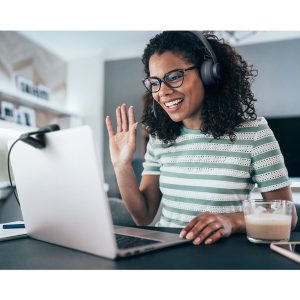 Logitech C505e - webcam