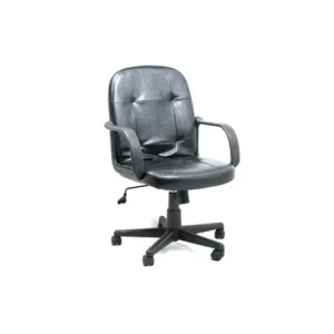 Xtech - Executive office chair with armrests - AM160GEN27