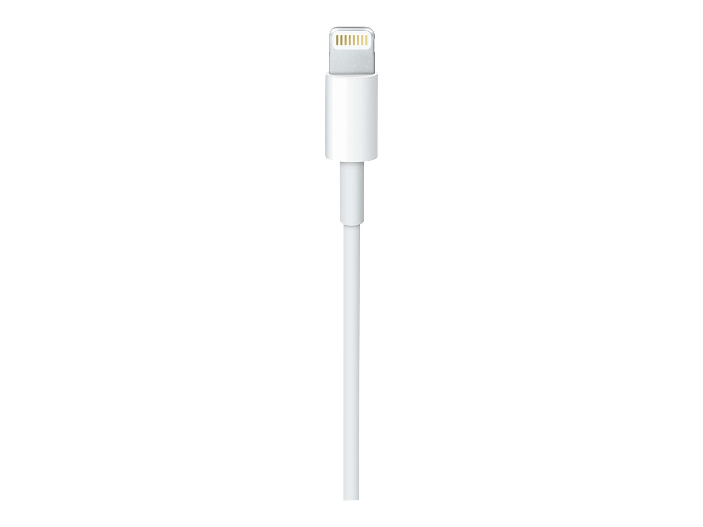 Apple USB-C to Lightning Cable - Lightning cable - 1 m - Image 3