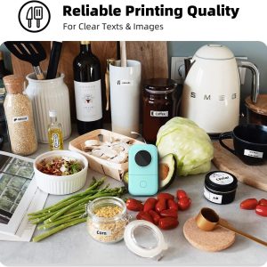 Phomemo Handheld BT Mini Lable Maker D30 Printer Blue