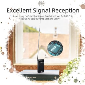 Prunus J-166 Portable Radio