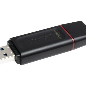 Kingston DataTraveler Exodia - USB flash drive - 256 GB