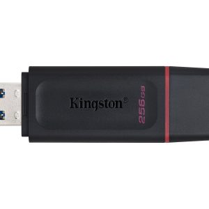 Kingston DataTraveler Exodia - USB flash drive - 256 GB