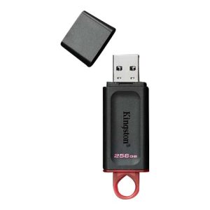 Kingston DataTraveler Exodia - USB flash drive - 256 GB