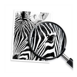 HP - black - compatible - ink cartridge