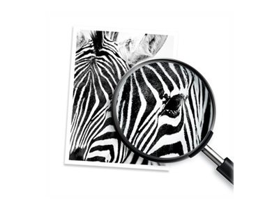 HP - black - compatible - ink cartridge - Image 10