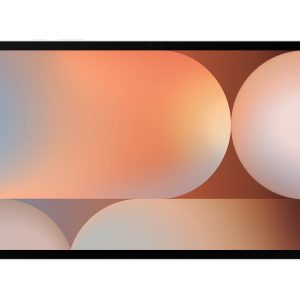 Samsung Galaxy Tab S10+ - Tablet - Android 14 - 256 GB - 12.4" Dynamic AMOLED 2X (2800 x 1752) - microSD slot - platinum silver