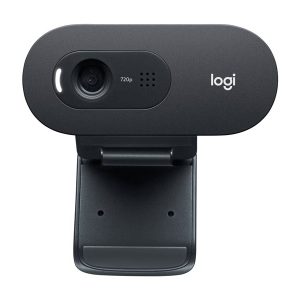 Logitech C505e - webcam