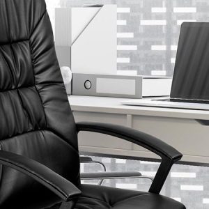 Chair Executive Office Chair with Armrests AM160GEN32