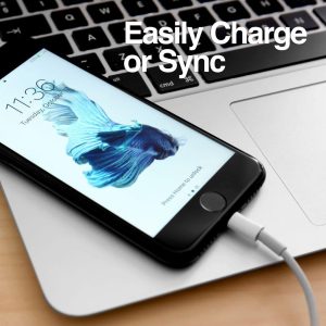 ArgomTech Cable 0037 Lighn/USB