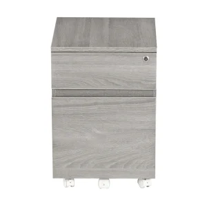 Techni Mobili - Rolling Two Drawer Vertical Filing Cabinet with Lock and Storage 