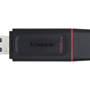 Kingston DataTraveler Exodia - USB flash drive - 256 GB