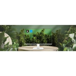 MSI PRO MP251W E2 - LED monitor - Full HD (1080p) - 25" - HDR