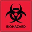 Biohazard 5.5” Stickers (Pack of 10)
