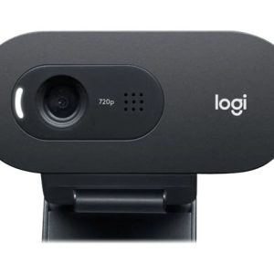 Logitech C505e - webcam