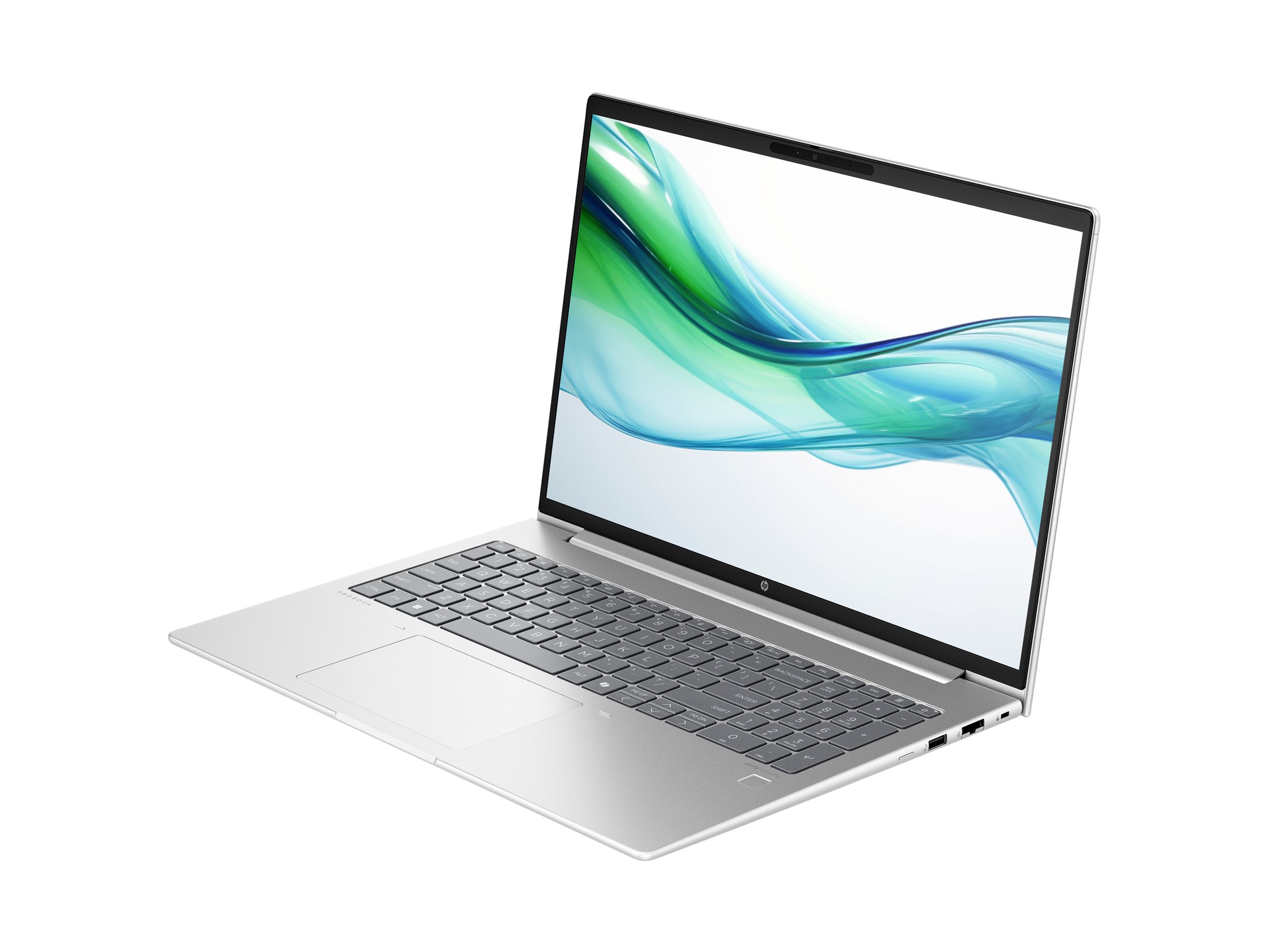 HP ProBook 460 G11 Notebook - Intel Core Ultra 5 - 125U / up to 4.3 GHz - Win 11 Pro - Intel Graphics - 16 GB RAM - 256 GB SSD NVMe - 16" IPS 1920 x 1200 - Gigabit Ethernet - Wi-Fi 6E, Bluetooth - pike silver - kbd: US - Image 3