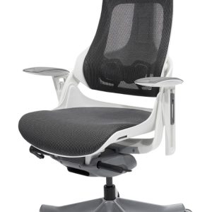 Techni Mobili  LUX Ergonomic Executive Chair - RTA-1818C-GRY