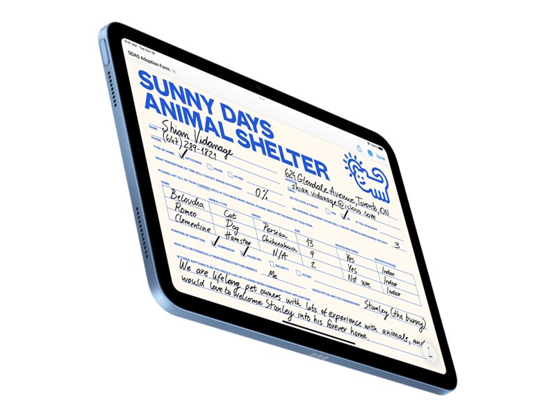 Apple 10.9-inch iPad Wi-Fi + Cellular - 10th generation - tablet - 64 GB - 10.9" - 3G, 4G, 5G - Image 3