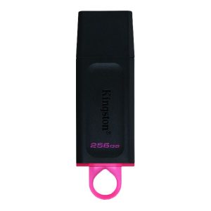 Kingston DataTraveler Exodia - USB flash drive - 256 GB