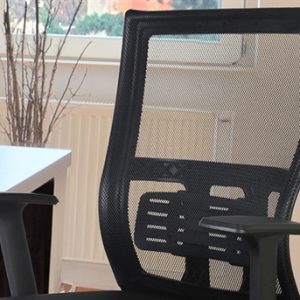 Xtech Fazzina | Executive office chair XTF-OC413